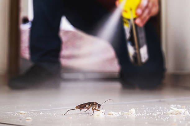 Best Affordable Pest Control Services  in Mccom, OH